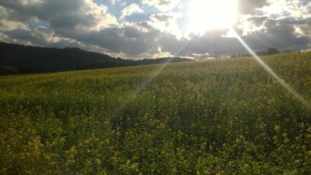 Blick In Die Suedeifel Biersdorf Esterno foto